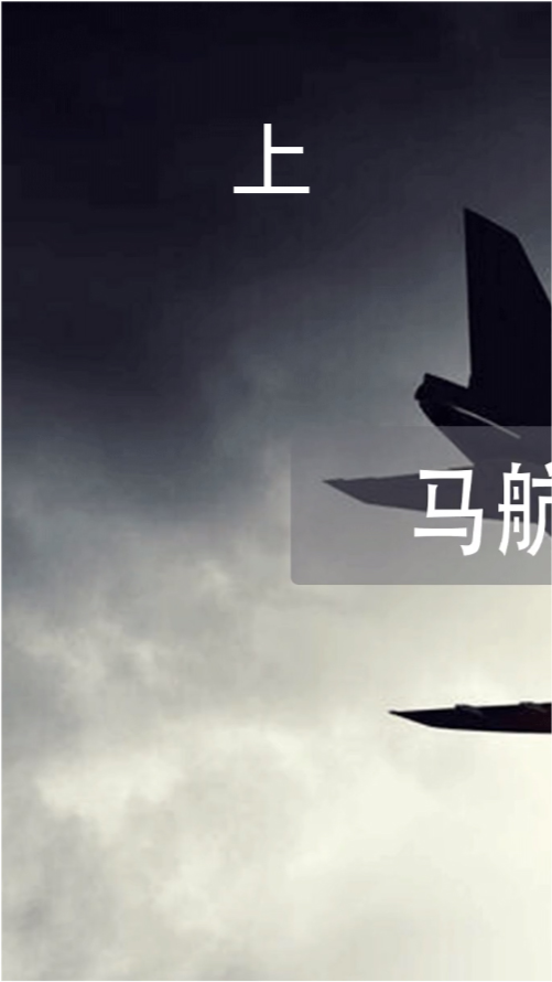 馬航最新動(dòng)態(tài)與進(jìn)展，揭秘失蹤謎團(tuán)，展望未來(lái)前景